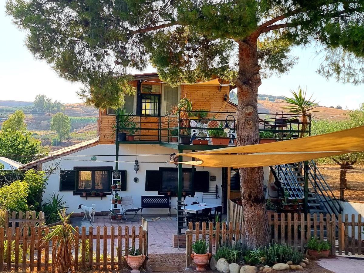 Sunset Valley Village Motta SantʼAnastasia Exteriör bild